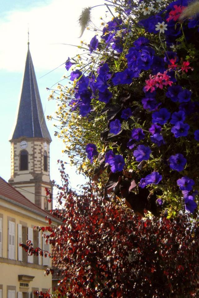 Gite "Le Piemont Des Vosges " Stotzheim Eksteriør bilde