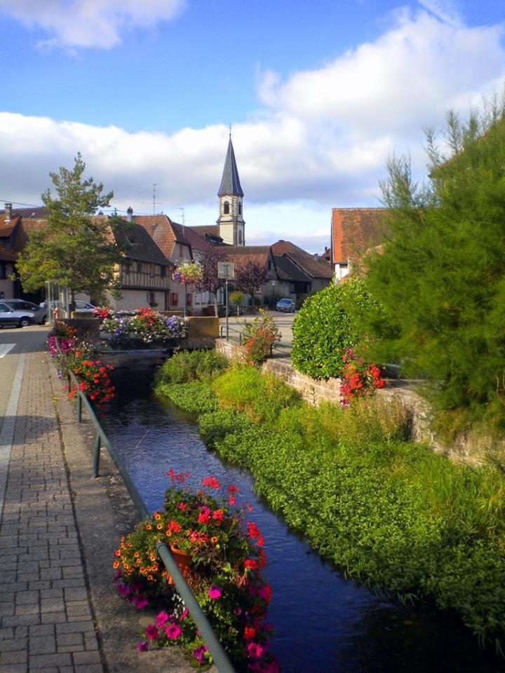Gite "Le Piemont Des Vosges " Stotzheim Eksteriør bilde