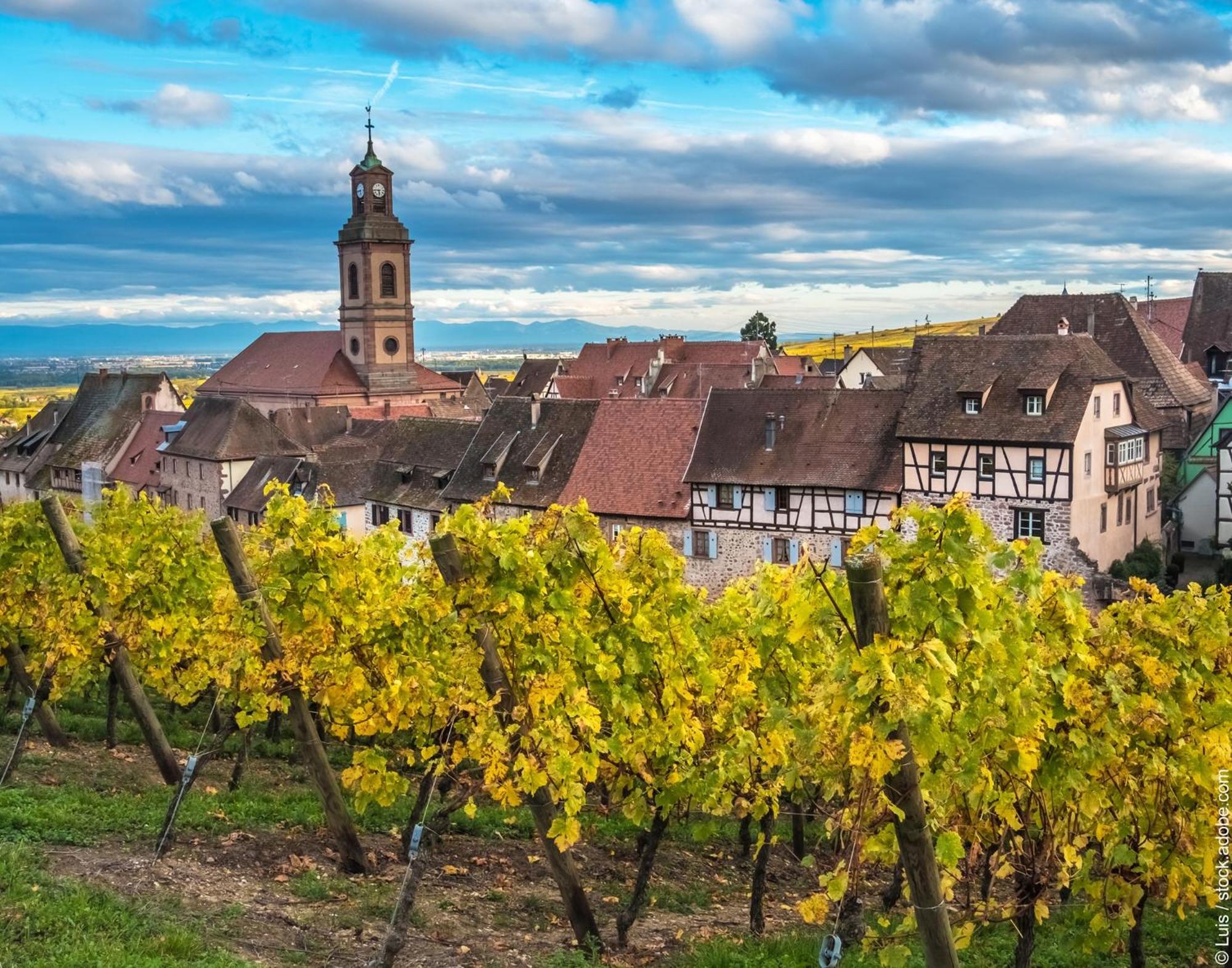 Gite "Le Piemont Des Vosges " Stotzheim Eksteriør bilde