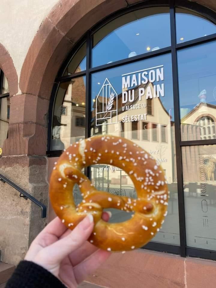 Gite "Le Piemont Des Vosges " Stotzheim Eksteriør bilde