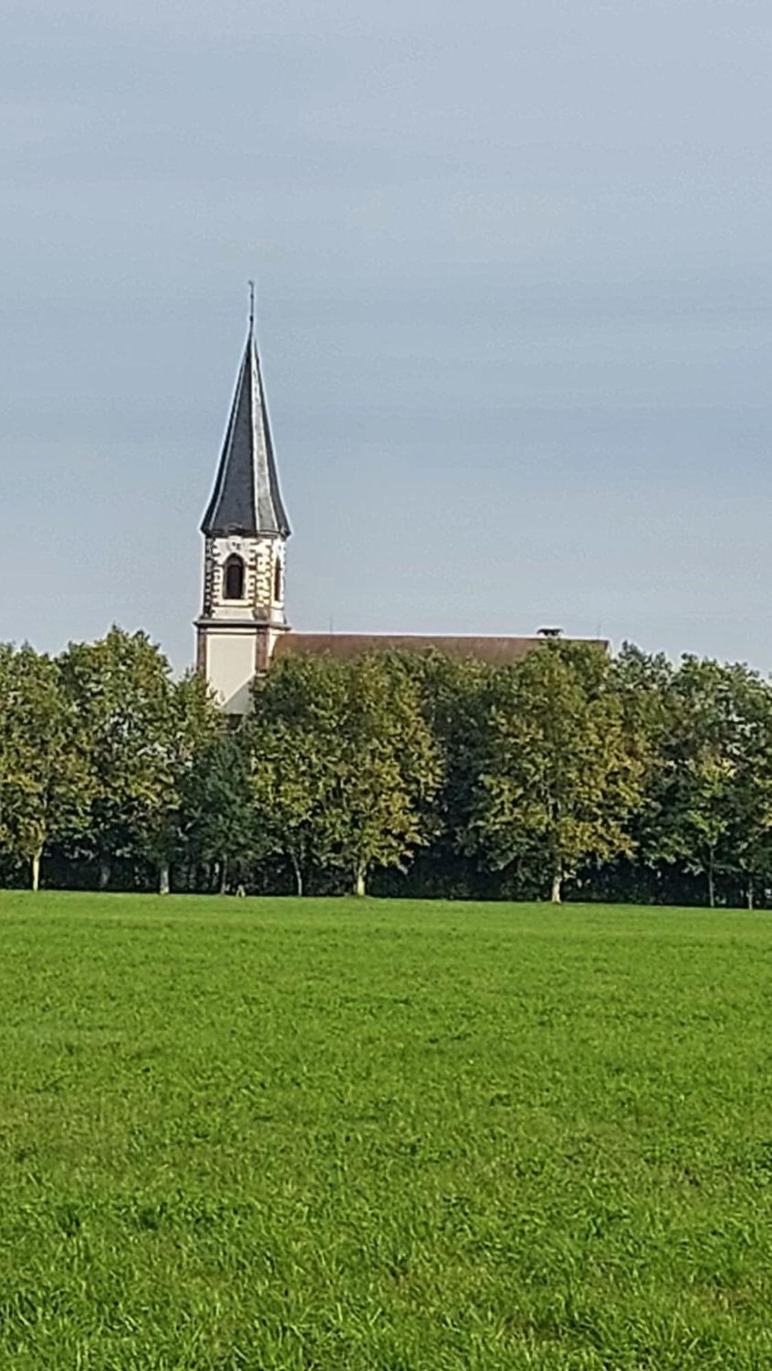 Gite "Le Piemont Des Vosges " Stotzheim Eksteriør bilde