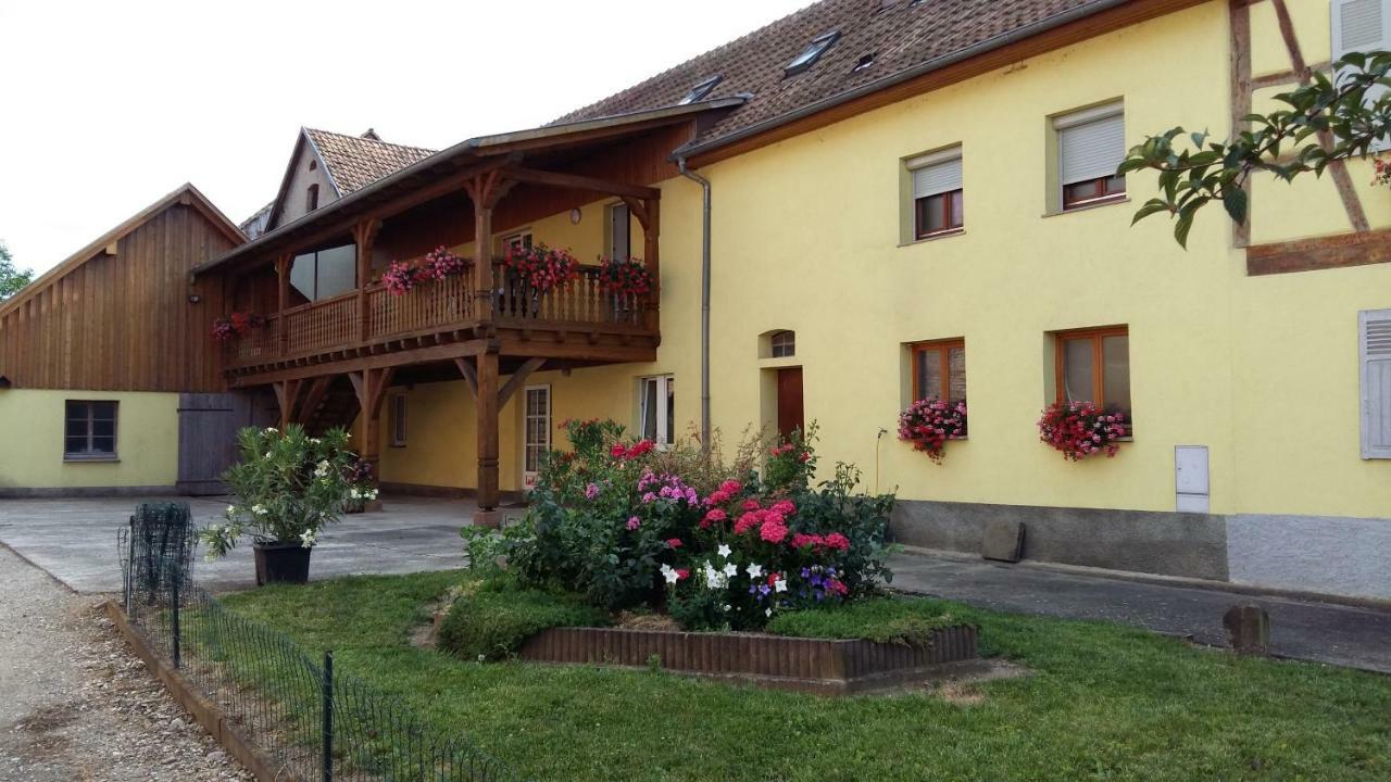 Gite "Le Piemont Des Vosges " Stotzheim Eksteriør bilde