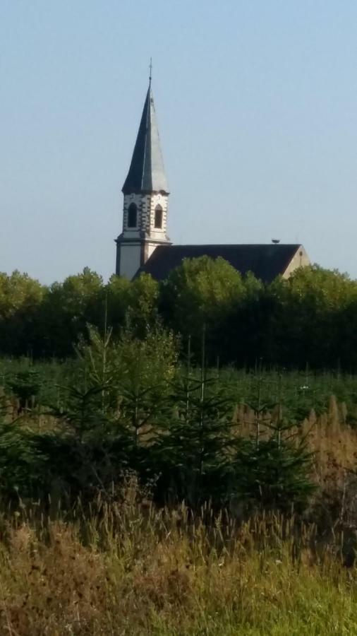 Gite "Le Piemont Des Vosges " Stotzheim Eksteriør bilde